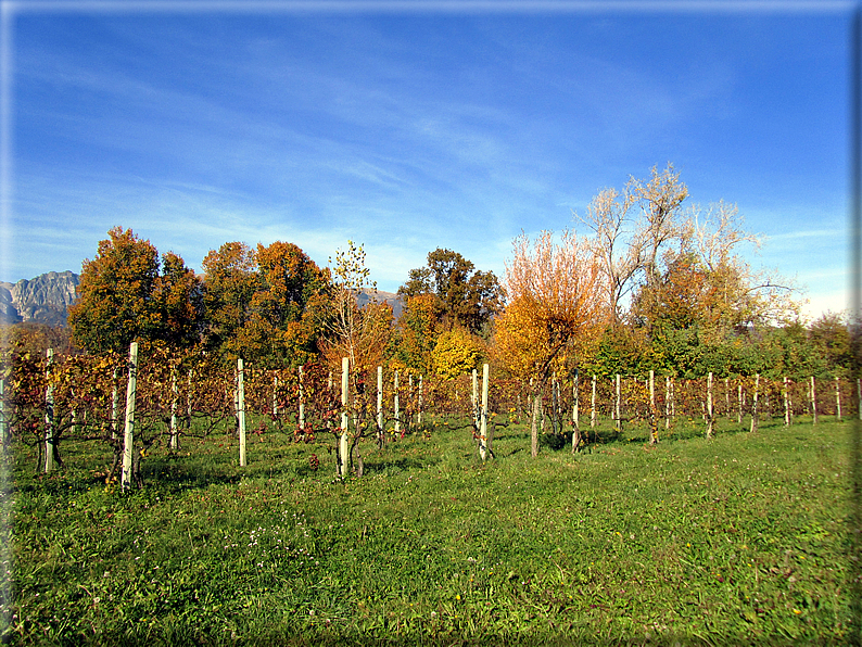 foto Alle pendici del Monte Grappa in Autunno